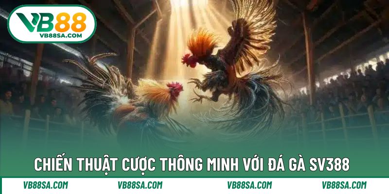 Bí quyết để thắng lớn khi tham gia trận thi đấu đá gà