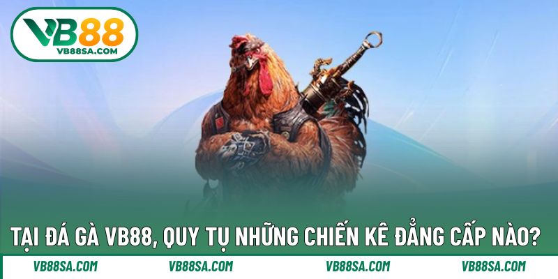 Quy tụ đa dạng chiến kê thi đấu xuất sắc tại VB88